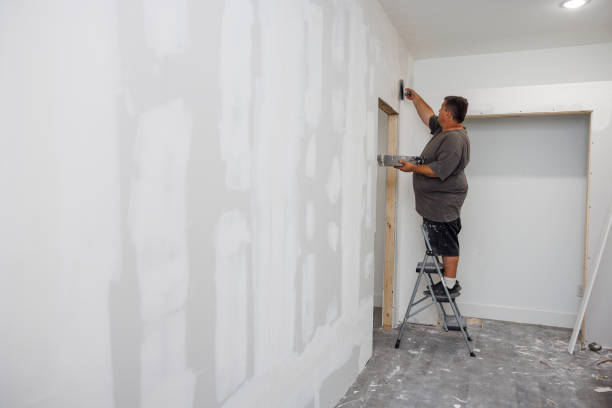 Best Emergency Mold Remediation  in Lexington Park, MD