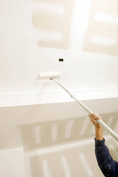Best Environmental Consulting for Mold Prevention  in Lexington Park, MD