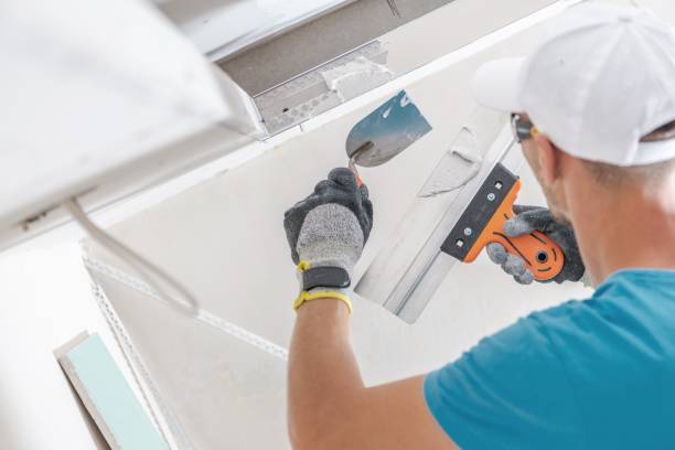 Best Asbestos and Lead Testing During Mold Inspection  in Lexington Park, MD
